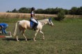 /album/iv-rocnik-hobby-zavodu-funny-ranch-jesenice/img-7774-jpg/