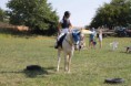 /album/iv-rocnik-hobby-zavodu-funny-ranch-jesenice/img-7777-jpg/