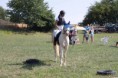 /album/iv-rocnik-hobby-zavodu-funny-ranch-jesenice/img-7778-jpg/