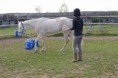 /album/fotogalerie-rk-white-pearl-cody/a13139344-998093473571612-6332882261243462409-n-jpg/