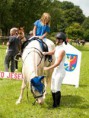 /album/fotogalerie-v-rocnik-hobby-skokovych-zavodu-funny-ranch-jesenice/a13906819-531027763755069-3596161581557877770-n-jpg/