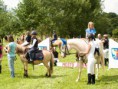 /album/fotogalerie-v-rocnik-hobby-skokovych-zavodu-funny-ranch-jesenice/a13914104-531027860421726-1835545940014608027-o-jpg/