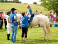 /album/fotogalerie-v-rocnik-hobby-skokovych-zavodu-funny-ranch-jesenice/a13925433-531027873755058-7830018972725309789-o-jpg/