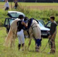 /album/fotogalerie-v-rocnik-hobby-skokovych-zavodu-funny-ranch-jesenice/img-2995-jpg/