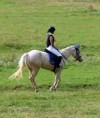/album/fotogalerie-v-rocnik-hobby-skokovych-zavodu-funny-ranch-jesenice/img-2997-jpg/