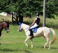 /album/fotogalerie-v-rocnik-hobby-skokovych-zavodu-funny-ranch-jesenice/img-2999-jpg/